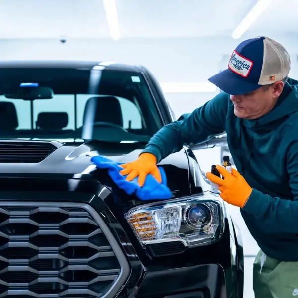 Paint Enhancement Detail