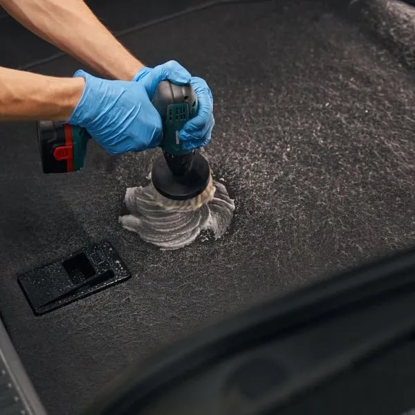 Deep Carpet Cleaning & Extraction